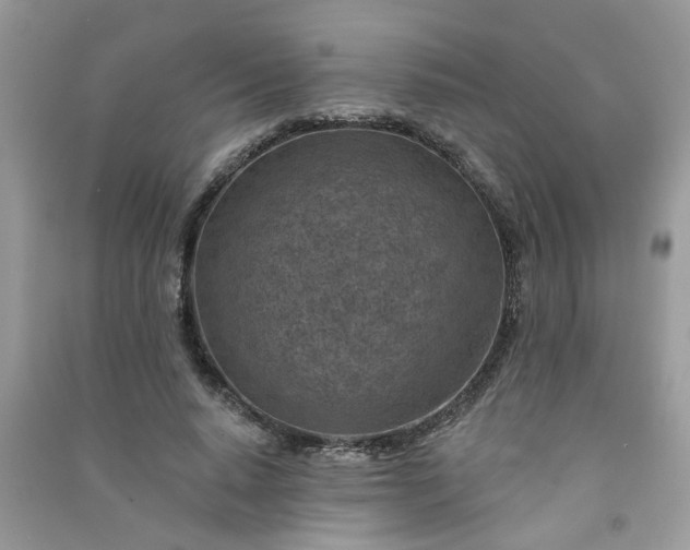 X0000091000640200708161939