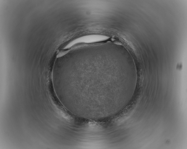 X0000091000641200708161939