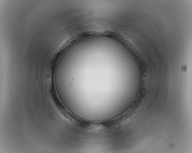 X0000091000642200708161939