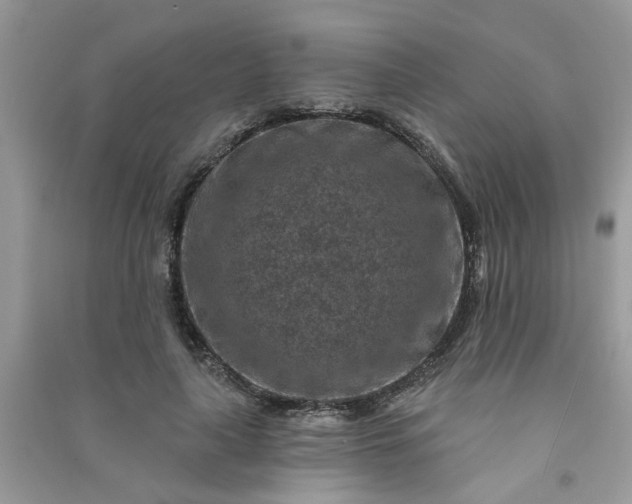 X0000091000643200708161939