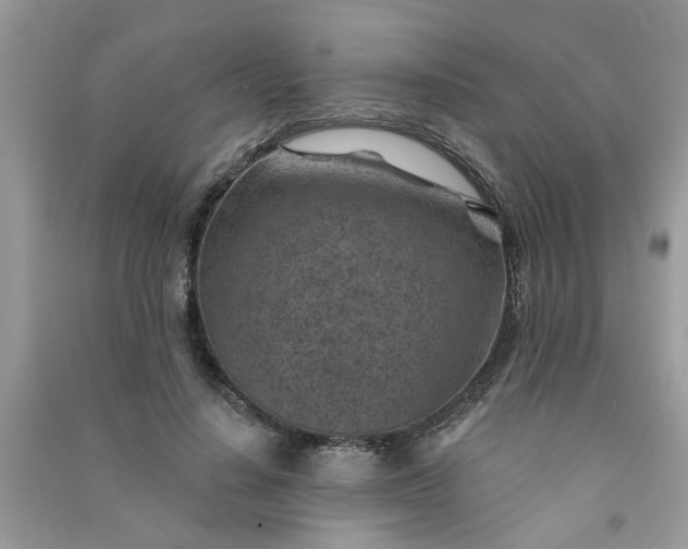 X0000091000644200708161939