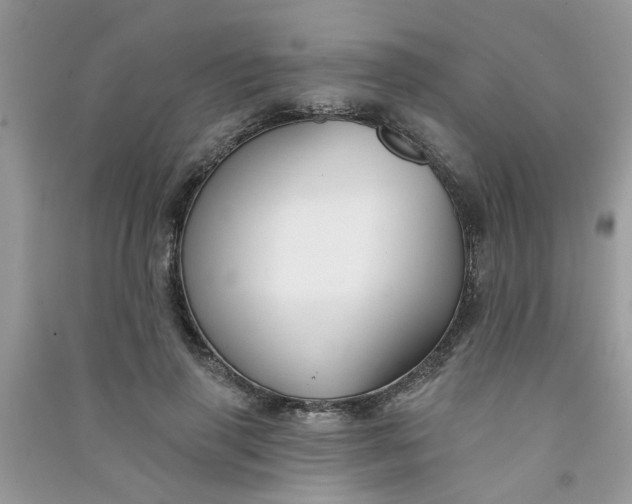 X0000091000645200708161939
