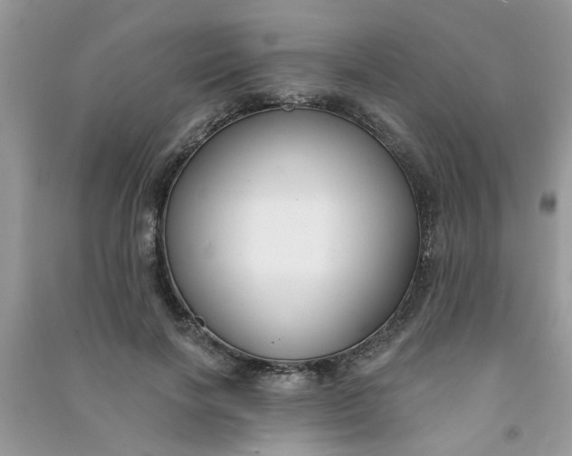 X0000091000646200708161939