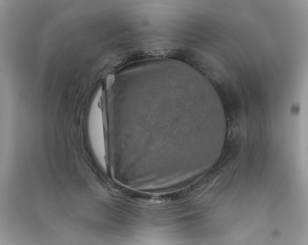X0000091000647200708161939
