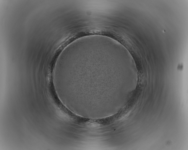 X0000091000648200708161939