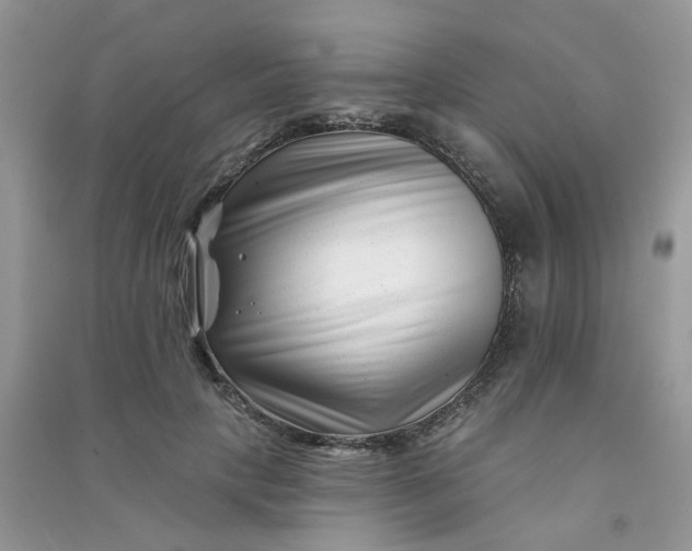 X0000091000649200708161939