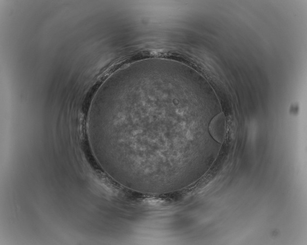 X0000091000650200708161939