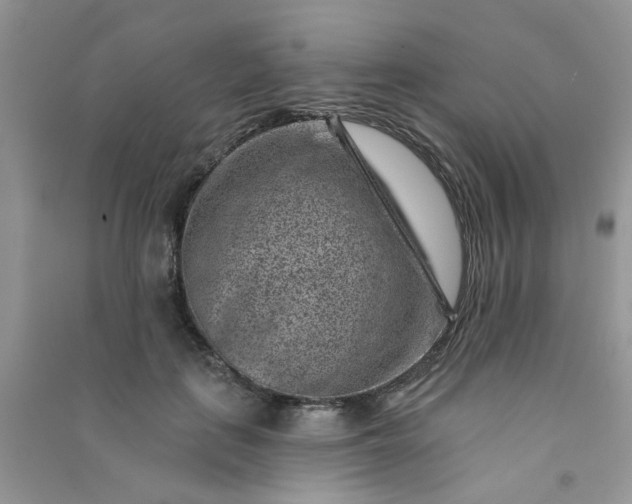 X0000091000651200708161939