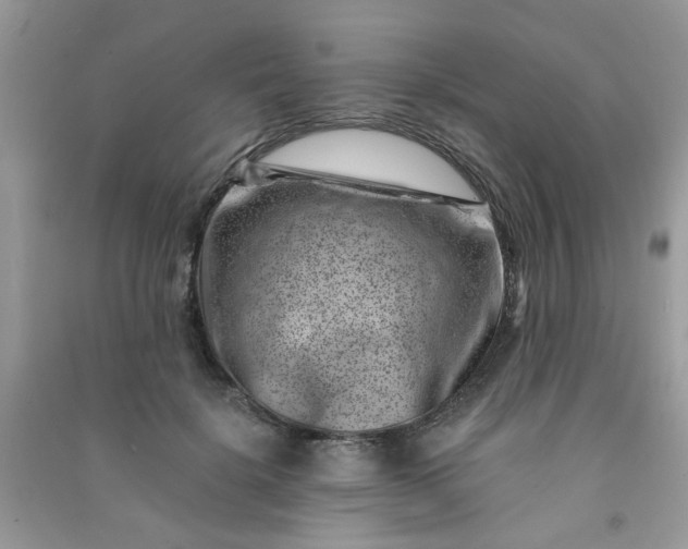 X0000091000652200708161939