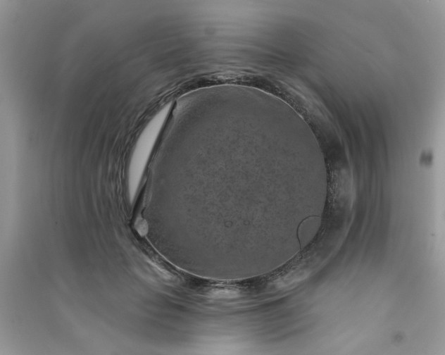 X0000091000653200708161939