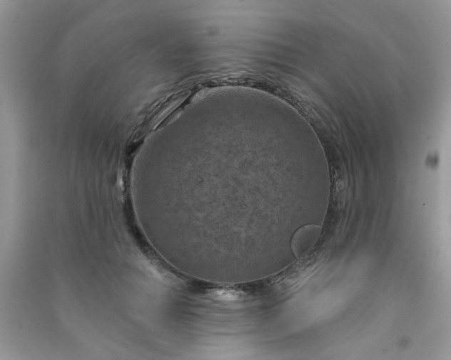 X0000091000654200708161939