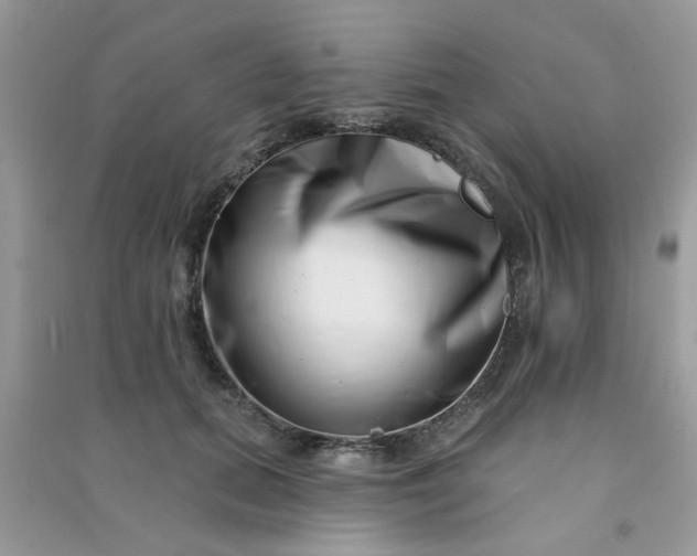 X0000091000655200708161939