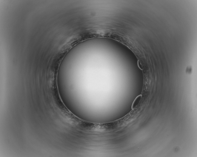 X0000091000656200708161939