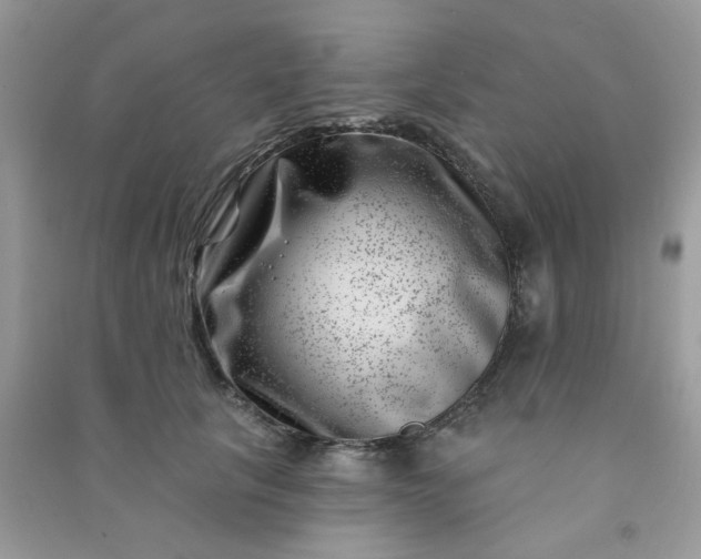 X0000091000657200708161939