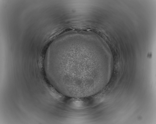 X0000091000658200708161939