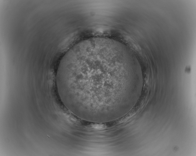 X0000091000659200708161939