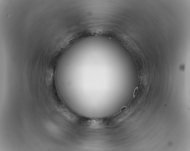 X0000091000660200708161939