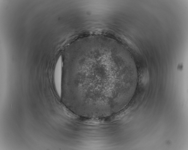 X0000091000661200708161939