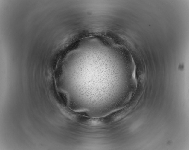 X0000091000662200708161939