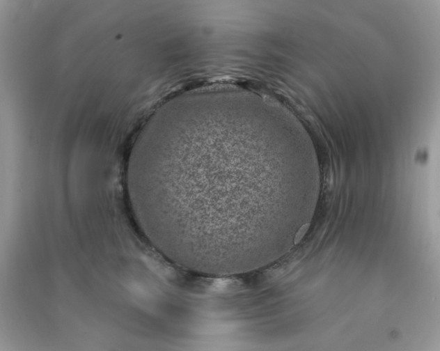 X0000091000663200708161939