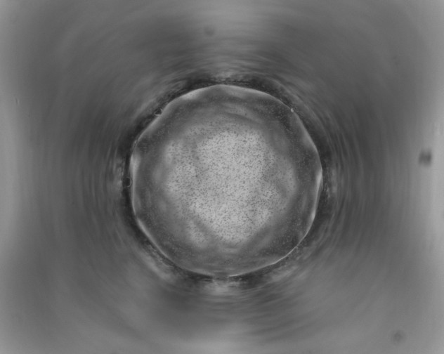 X0000091000664200708161939