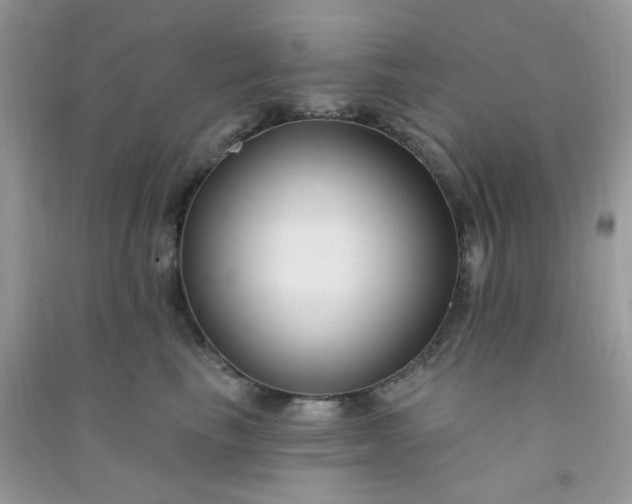 X0000091000665200708161939