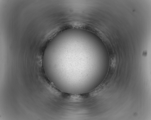 X0000091000666200708161939