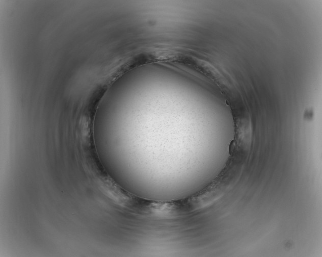 X0000091000667200708161939