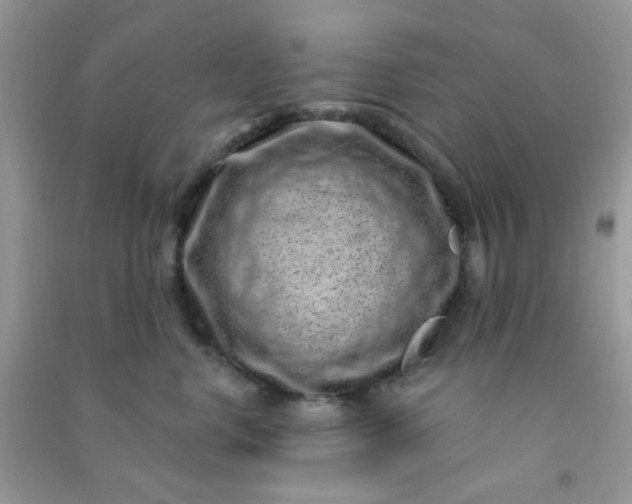 X0000091000668200708161939