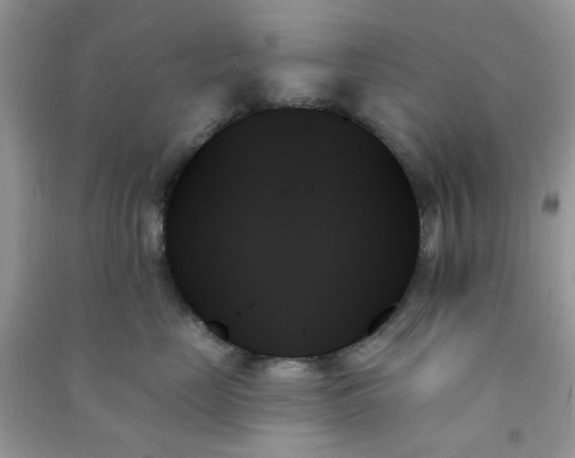 X0000091000669200708161939