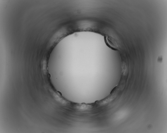 X0000091000670200708161939