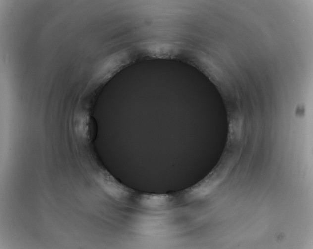 X0000091000671200708161939