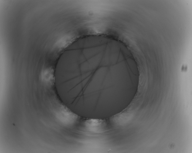X0000091000672200708161939