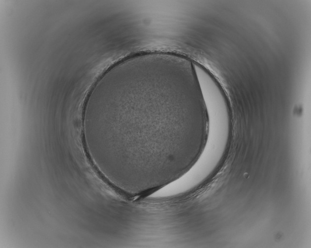X0000091000673200708161939