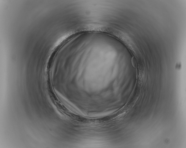 X0000091000674200708161939