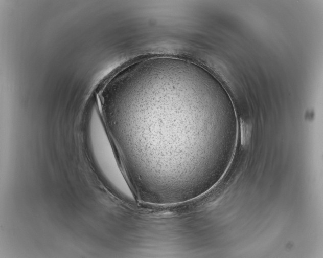 X0000091000675200708161939