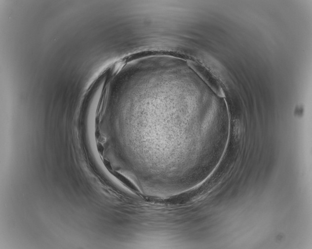X0000091000676200708161939