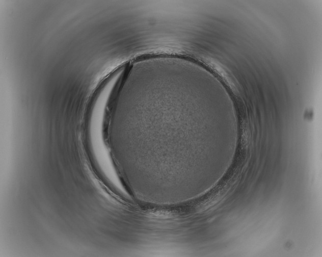 X0000091000677200708161939