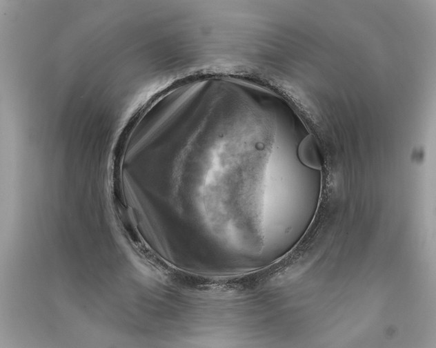 X0000091000678200708161939