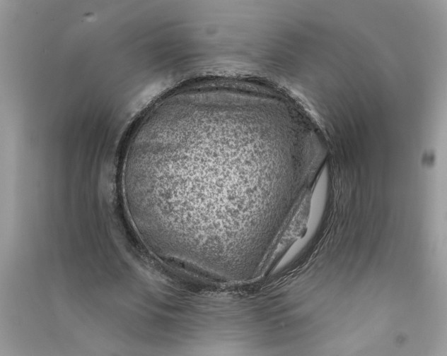 X0000091000679200708161939