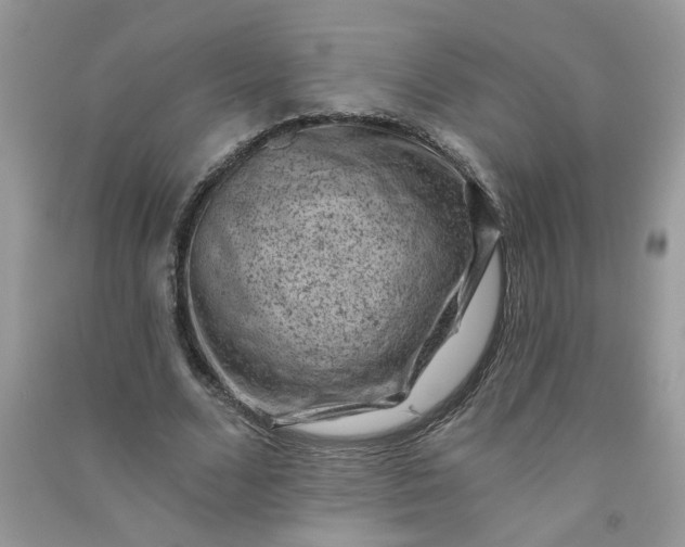 X0000091000680200708161939