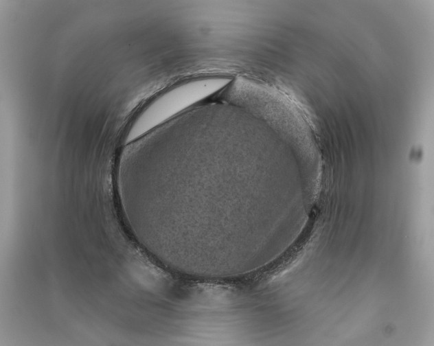X0000091000681200708161939