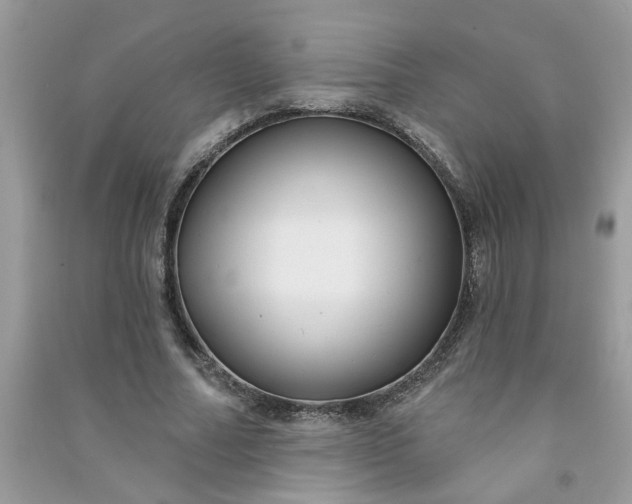X0000091000682200708161939