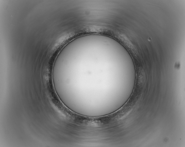 X0000091000683200708161938