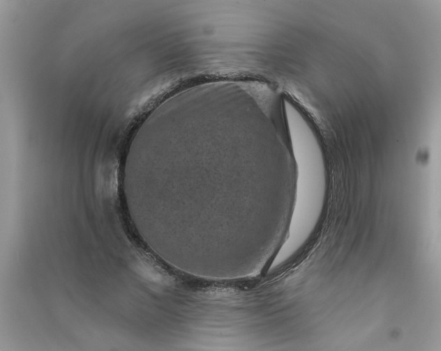 X0000091000685200708161938