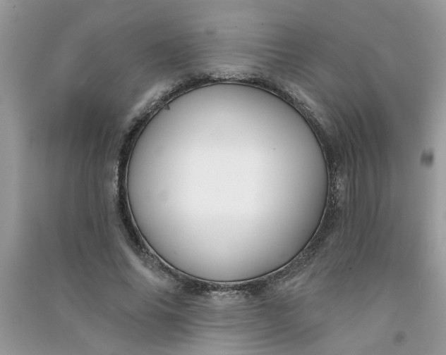 X0000091000686200708161938