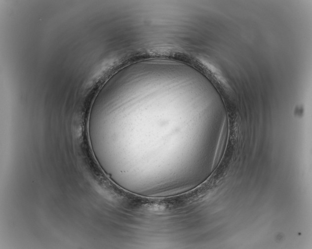 X0000091000687200708161938
