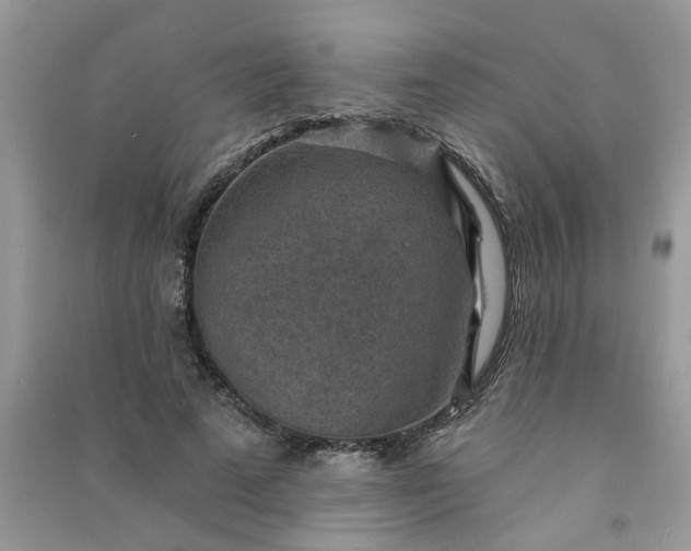 X0000091000689200708161938