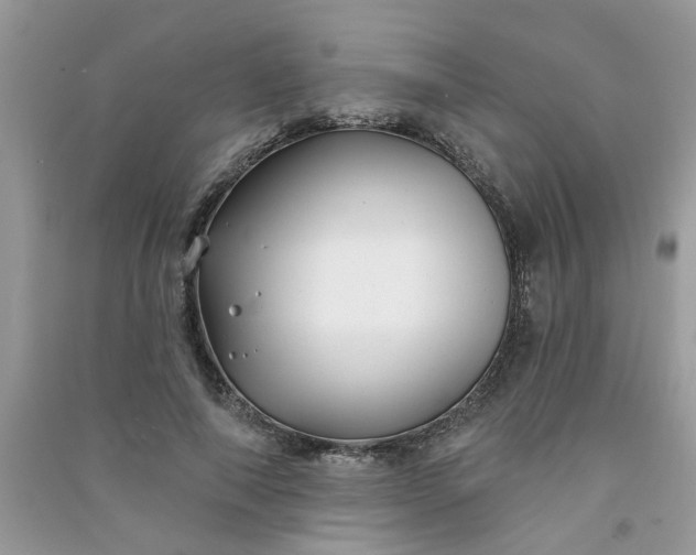 X0000091000690200708161938