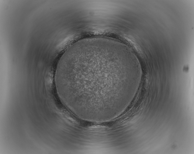 X0000091000691200708161938